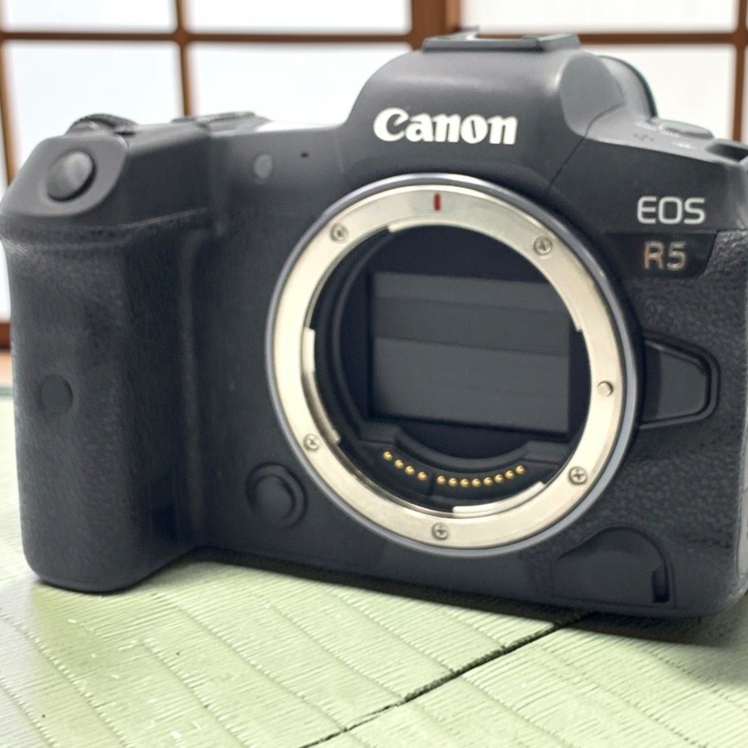 Canon EOS R6 Mark II ボディの新品/中古の在庫一覧 | みんなのカメラ