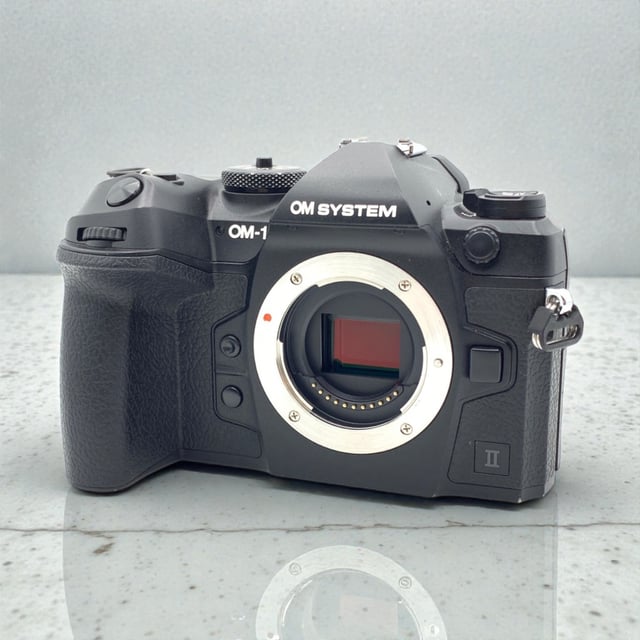 OM-1 Mark II ボディ