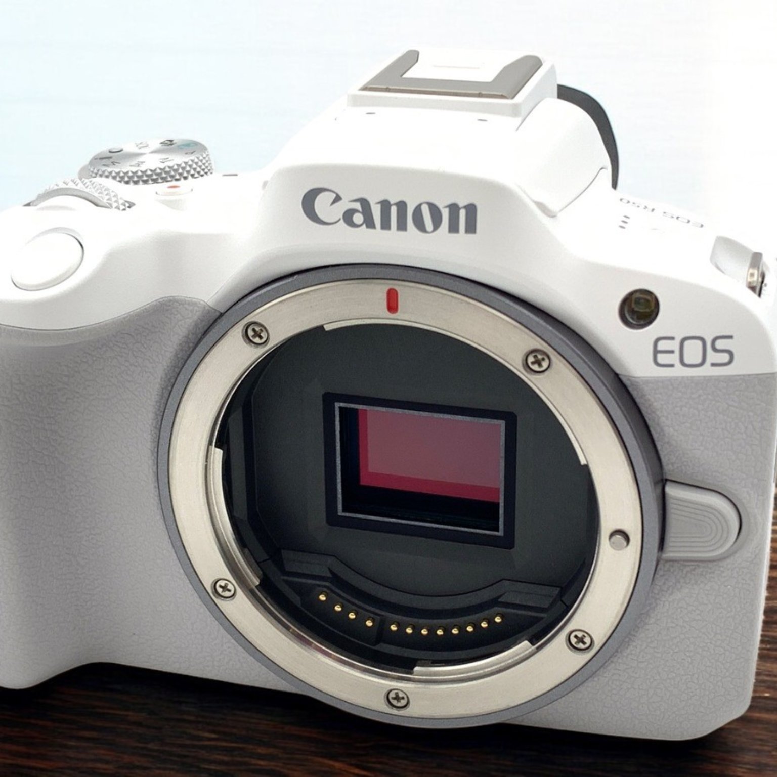 EOS R50 ホワイト　ボディのみ マイナビ限定】Canon EOS R50 ボディのみ ホワイト【長崎キヤノン