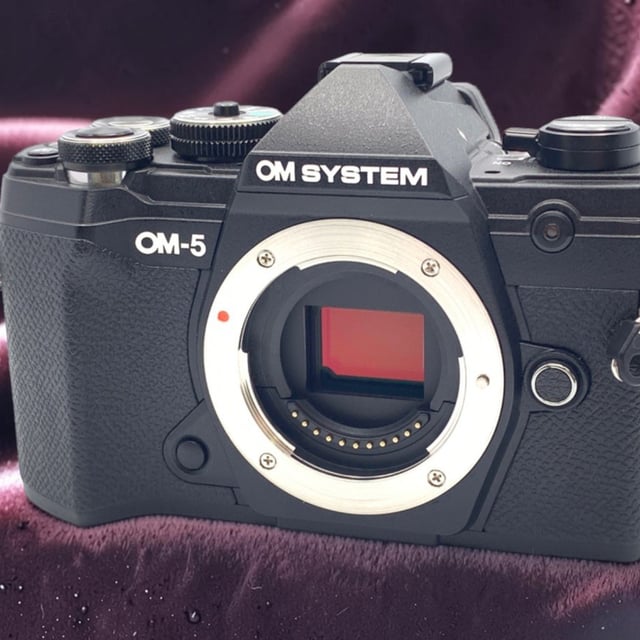 OM-5 ボディ "ブラック"
