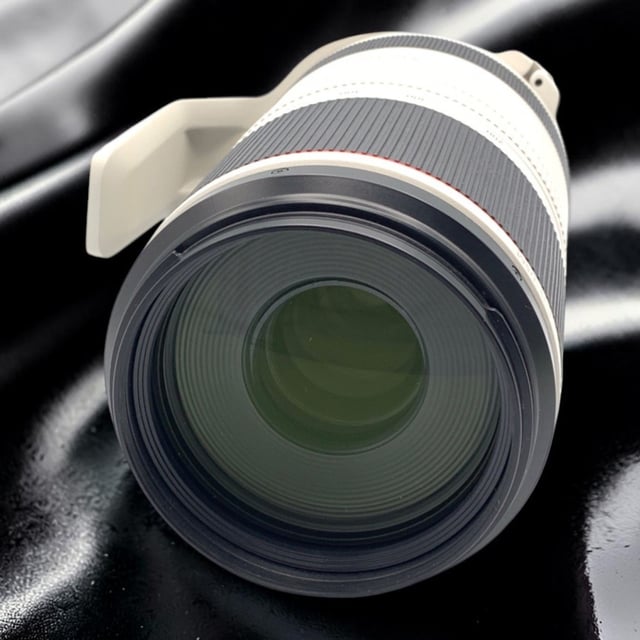 RF 100-500mm F4.5-7.1 L IS USM