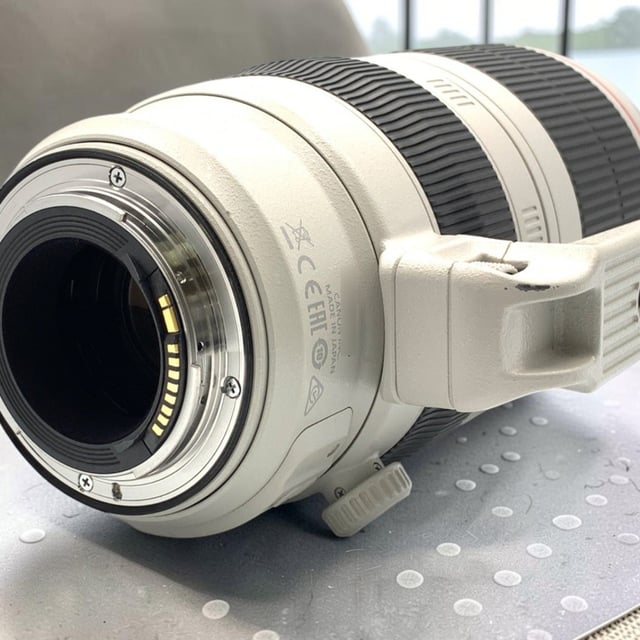 EF 100-400mm F4.5-5.6L IS II USM