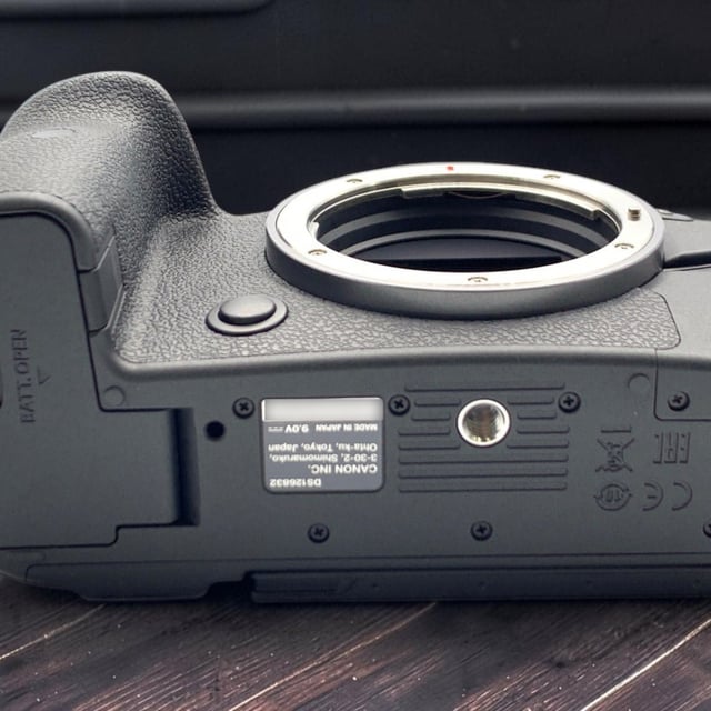 EOS R6 ボディ