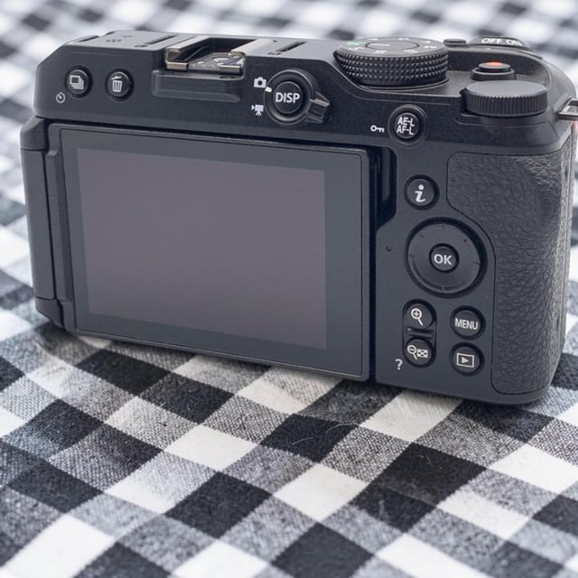 Z30 ボディ