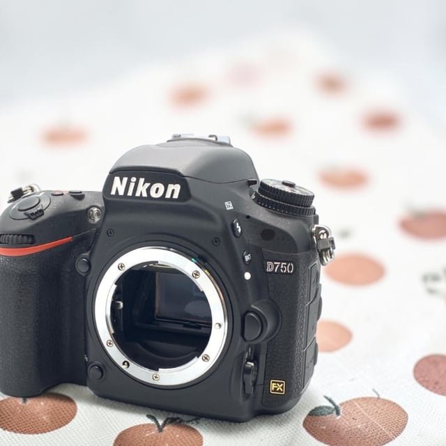 D750 ボディ