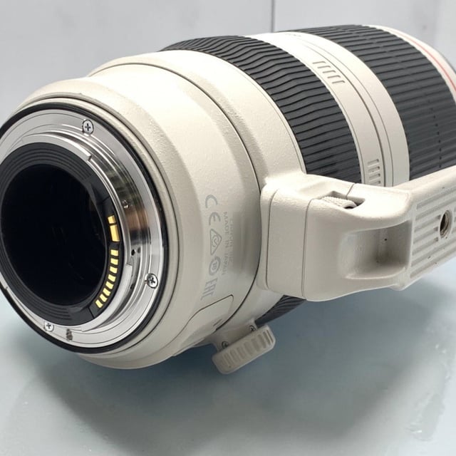 EF 100-400mm F4.5-5.6L IS II USM