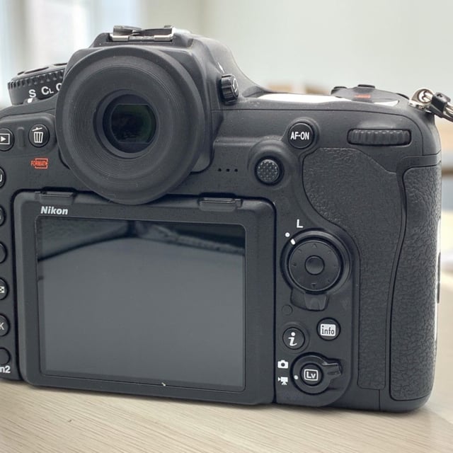 D500 ボディ