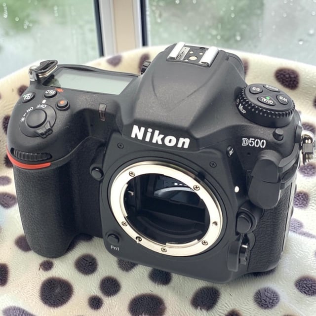 D500 ボディ