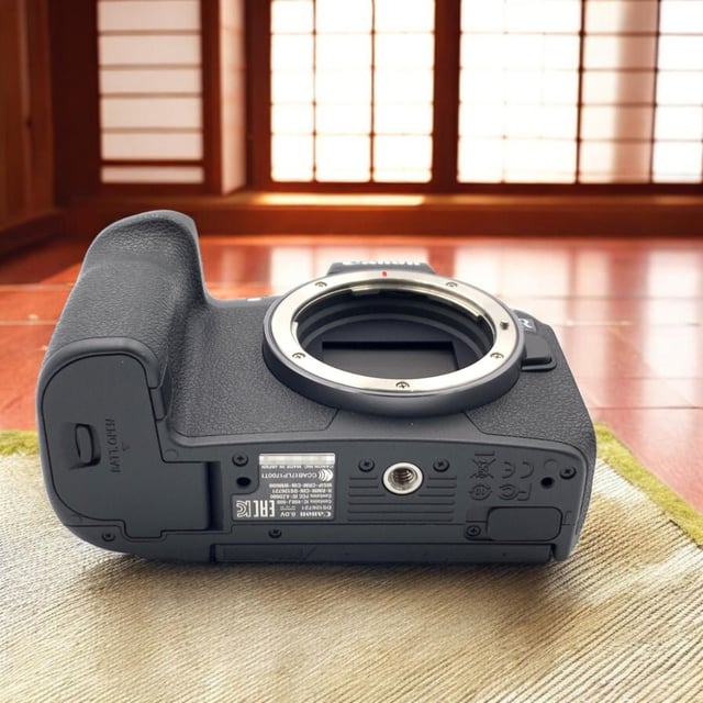 EOS R ボディ
