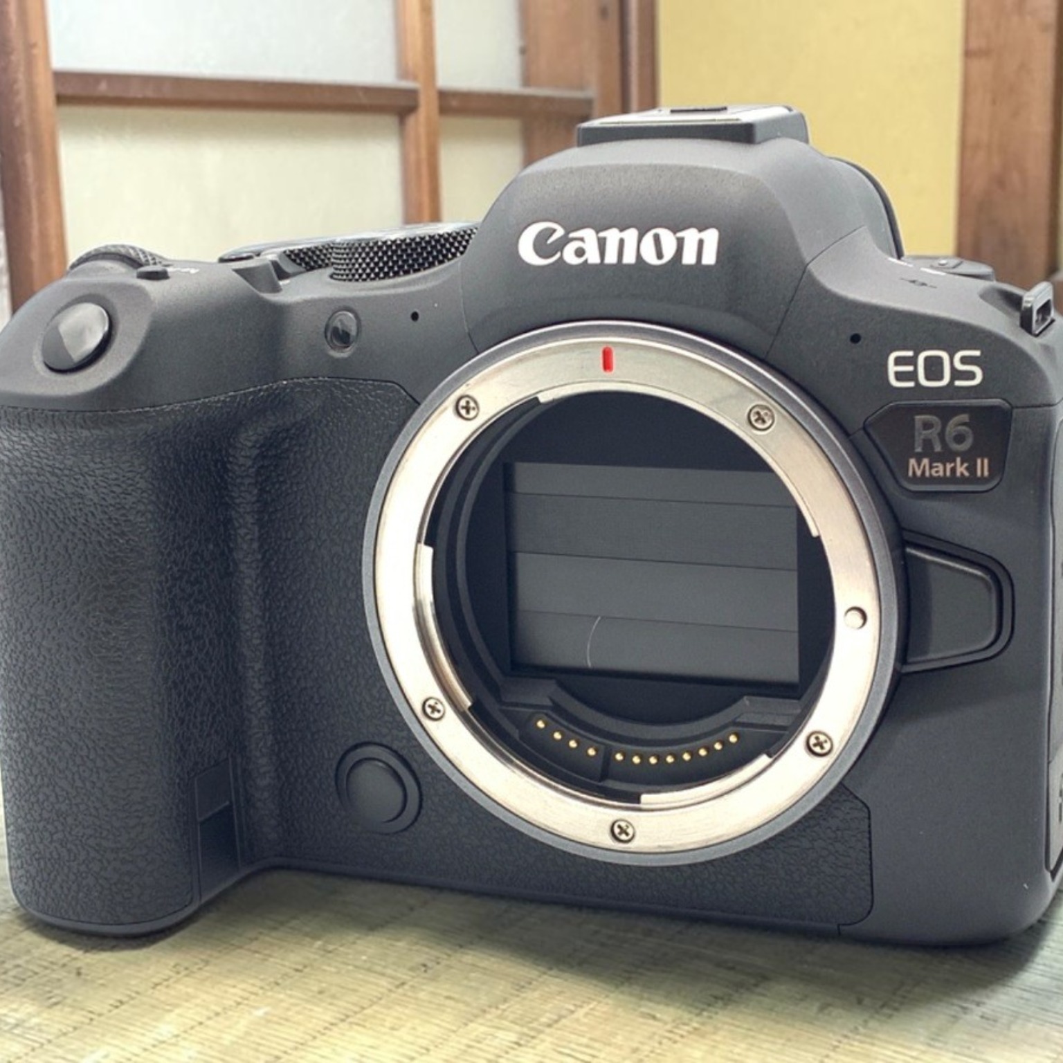 Canon EOS R50 ボディ 