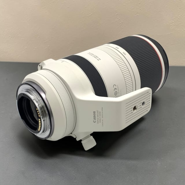 RF 100-500mm F4.5-7.1 L IS USM