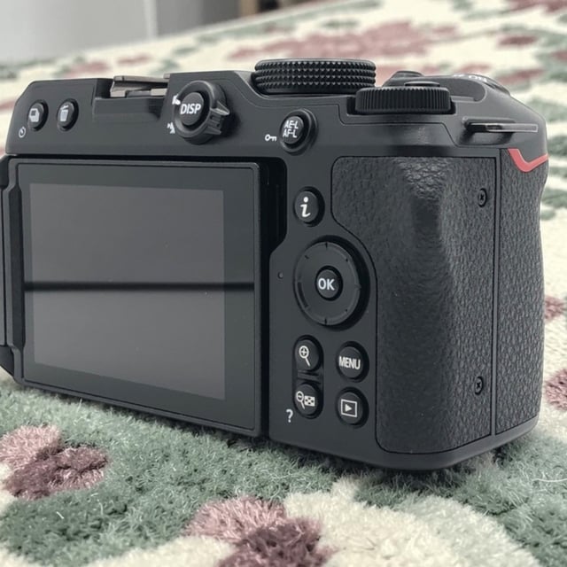 Z30 ボディ