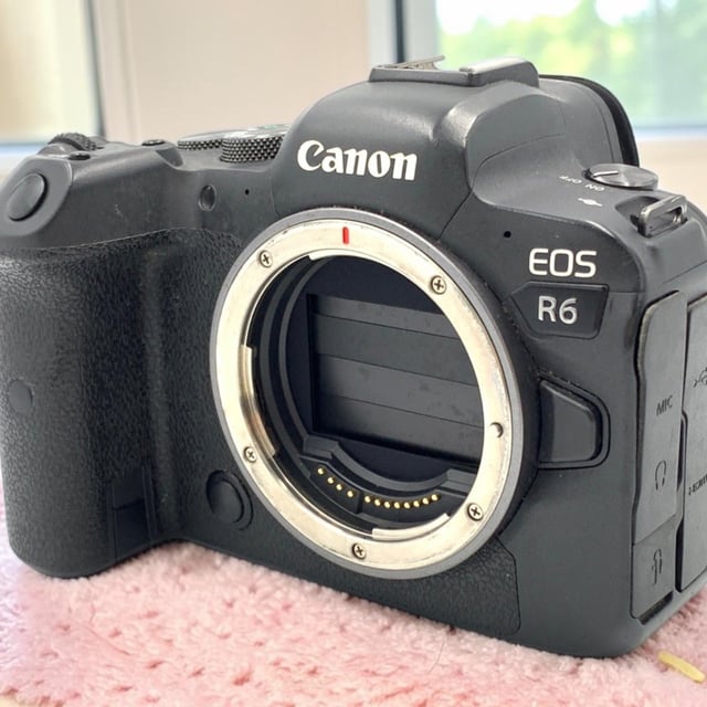 EOS R6 ボディ