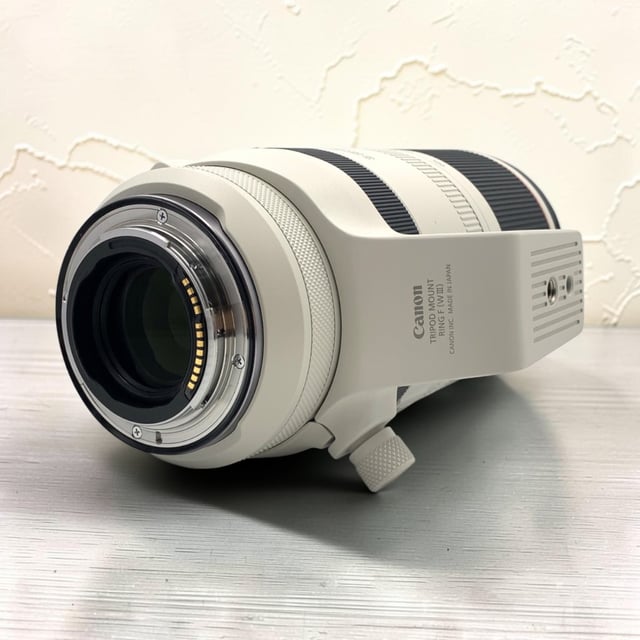 RF 100-500mm F4.5-7.1 L IS USM