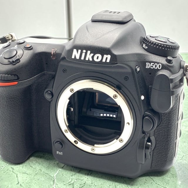 D500 ボディ