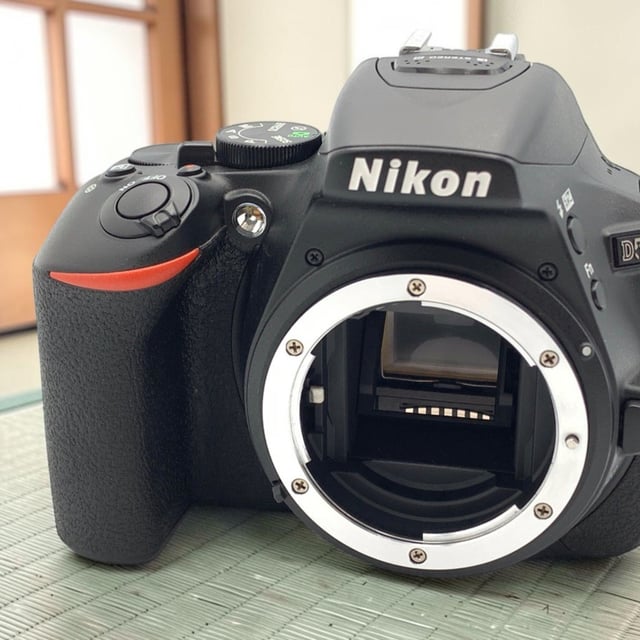 D5600 ボディ