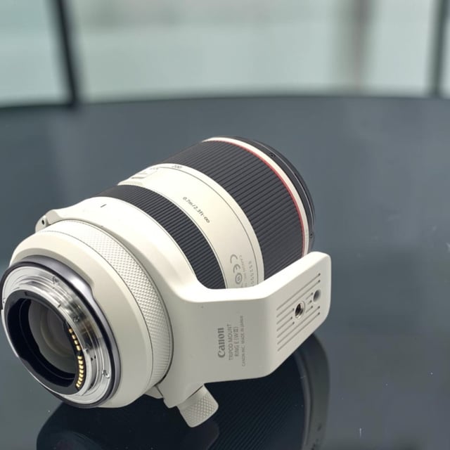 RF 70-200mm F2.8 L IS USM