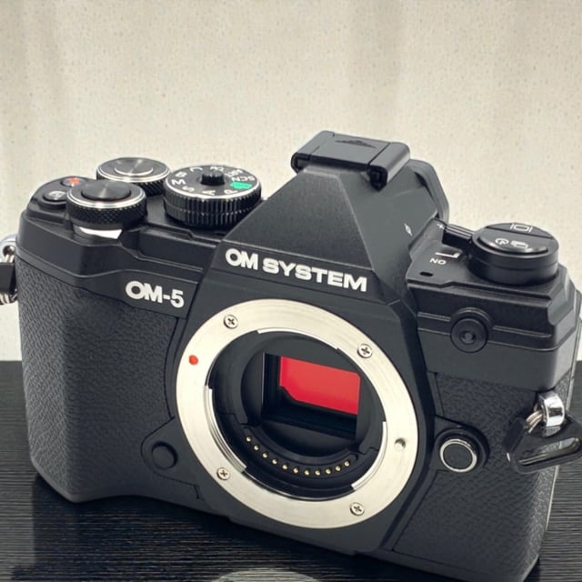 OM-5 ボディ