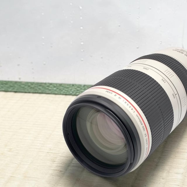 EF 100-400mm F4.5-5.6L IS II USM