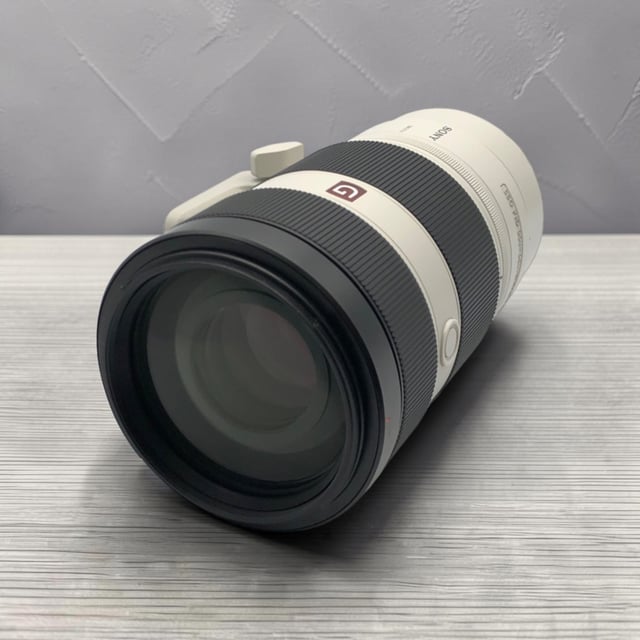 FE 100-400mm F4.5-5.6 GM OSS SEL100400GM