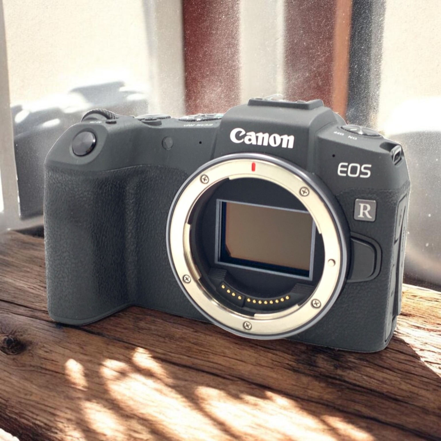 Canon EOS RP ボディの中古 (美品)・¥74,000 by ほるね | みんなのカメラ