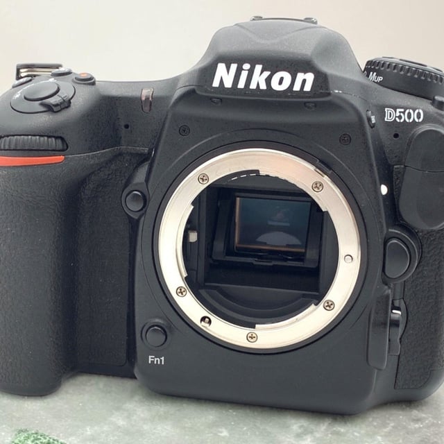 D500 ボディ