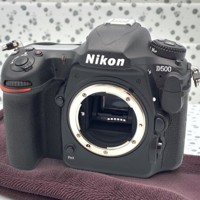 D500 ボディ