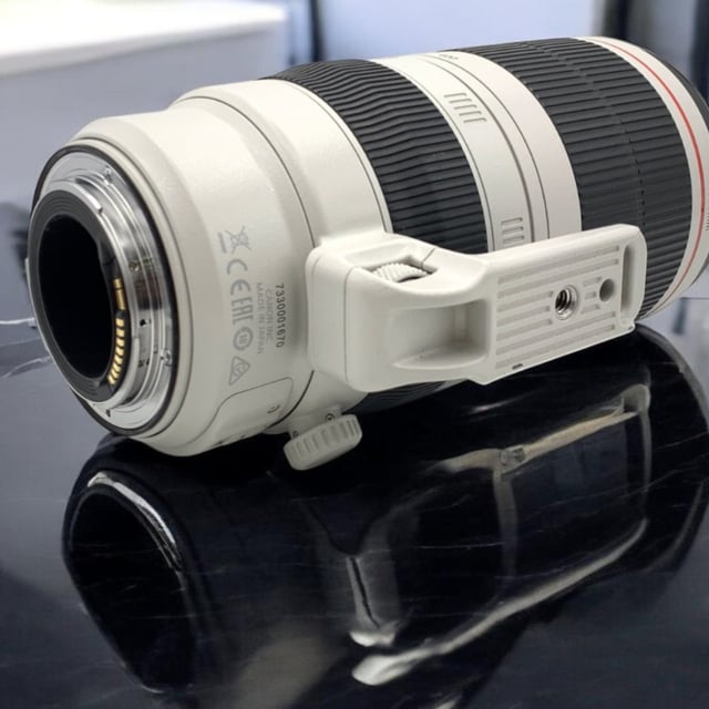 EF 100-400mm F4.5-5.6L IS II USM