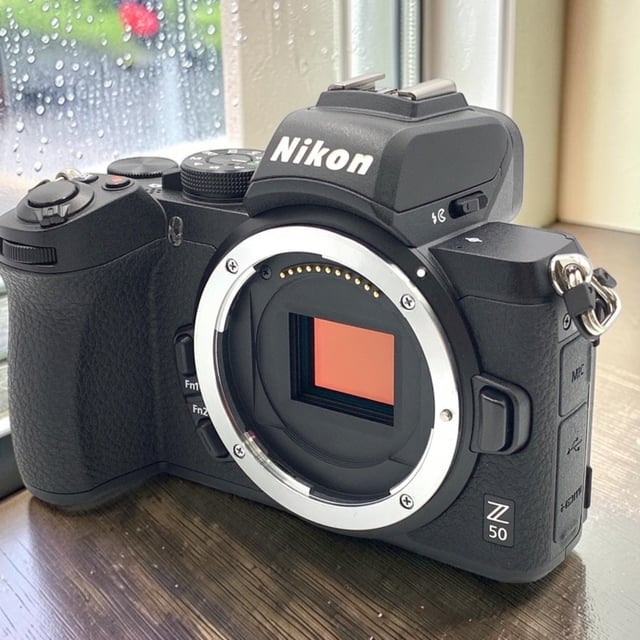 Z50 ボディ