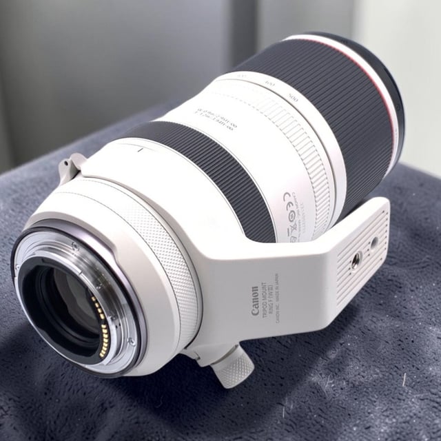 RF 100-500mm F4.5-7.1 L IS USM