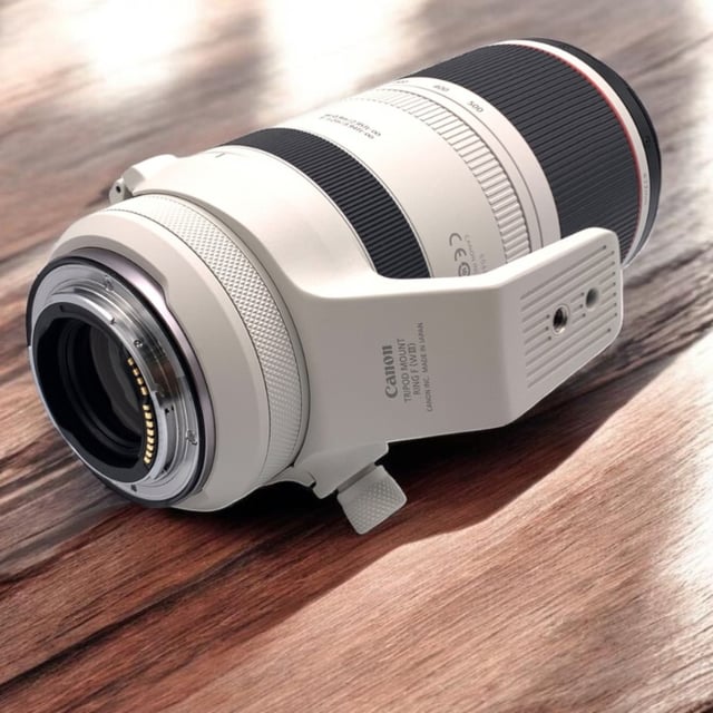 RF 100-500mm F4.5-7.1 L IS USM