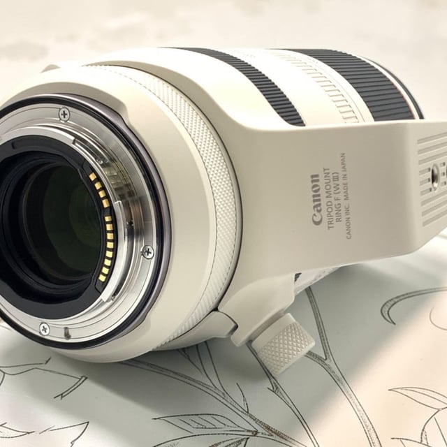 RF 100-500mm F4.5-7.1 L IS USM