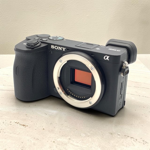 α6600 ILCE-6600 ボディ
