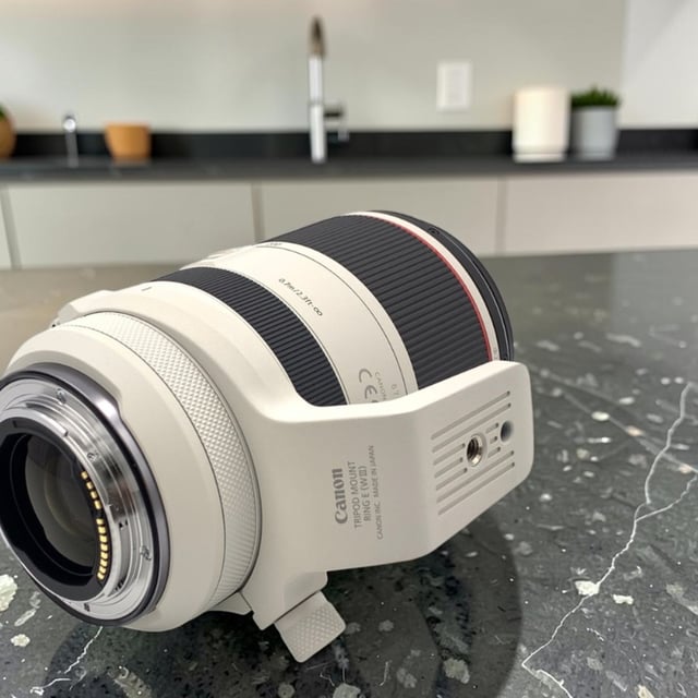 RF 70-200mm F2.8 L IS USM
