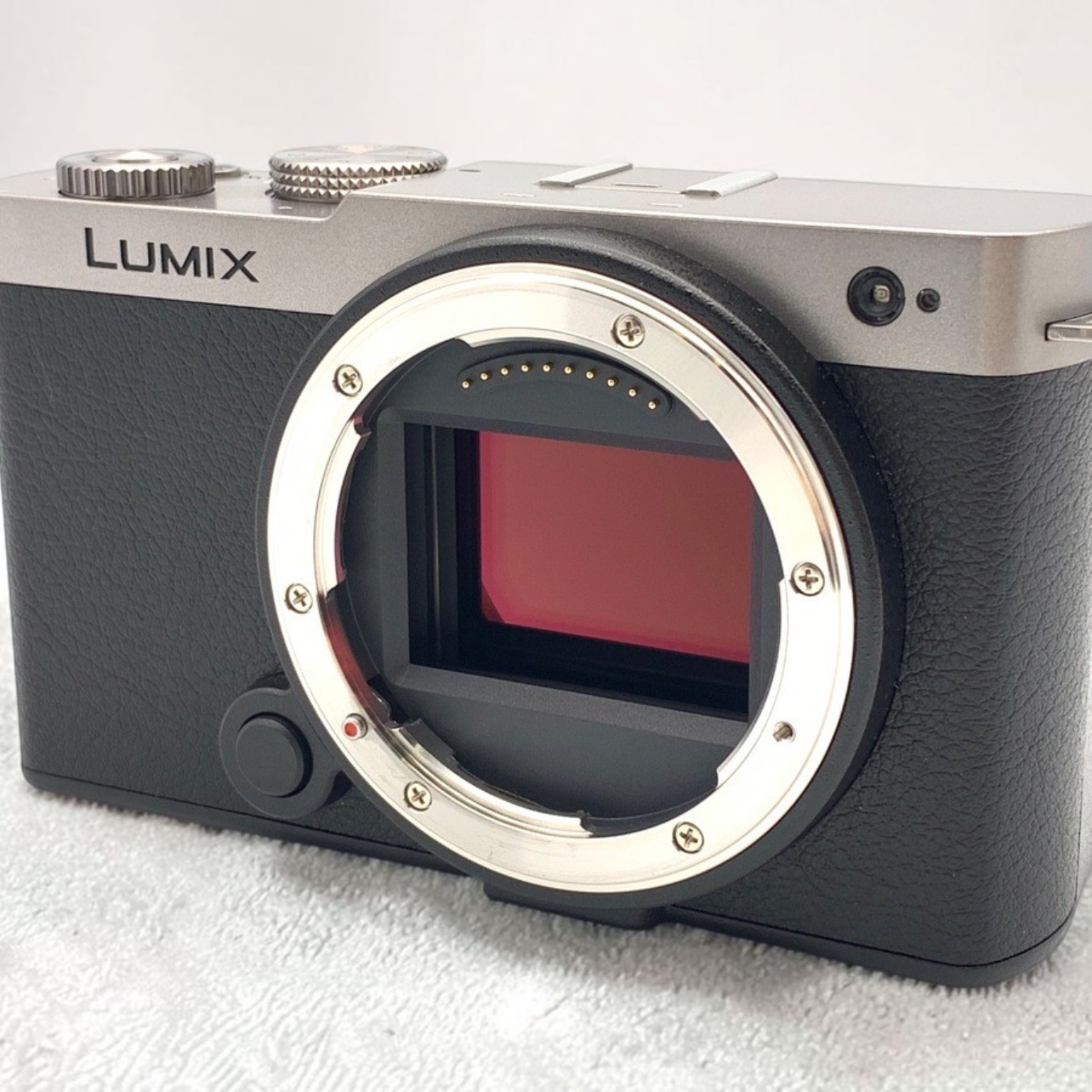 パナソニック LUMIX S9(DC-S9) ボディ 