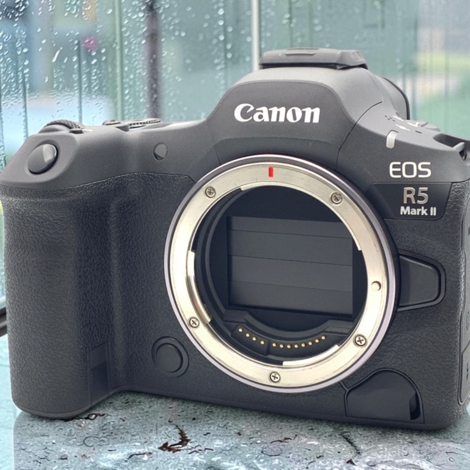 Canon EOS R6 Mark II ボディの新品/中古の在庫一覧 | みんなのカメラ