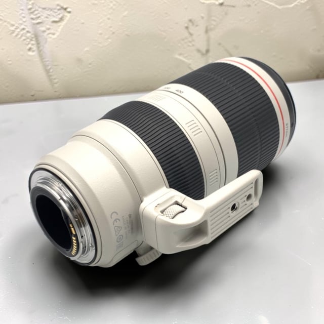 EF 100-400mm F4.5-5.6L IS II USM