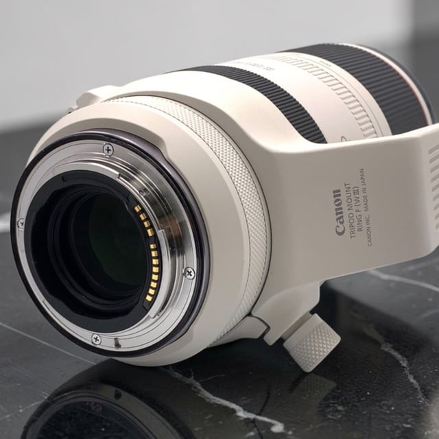 RF 100-500mm F4.5-7.1 L IS USM