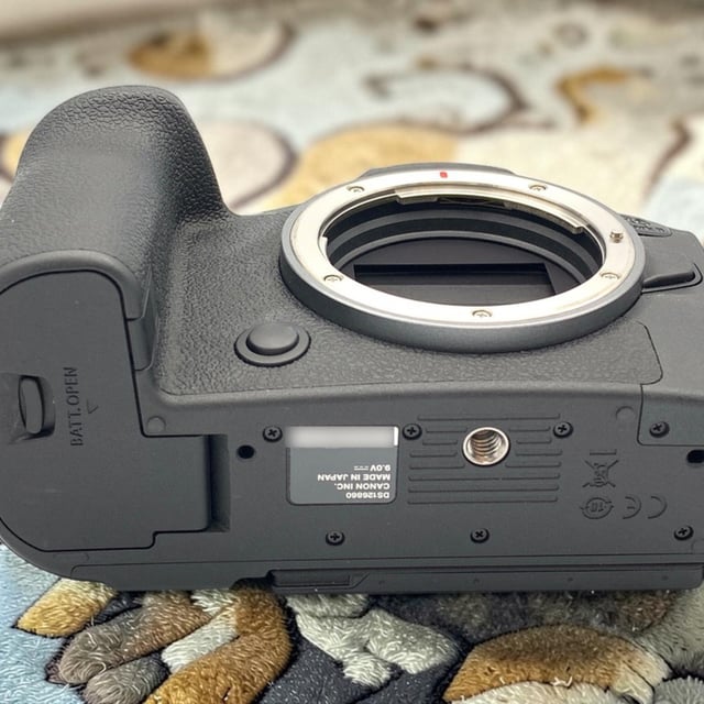 EOS R6 Mark II ボディ