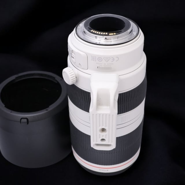 EF 100-400mm F4.5-5.6L IS II USM