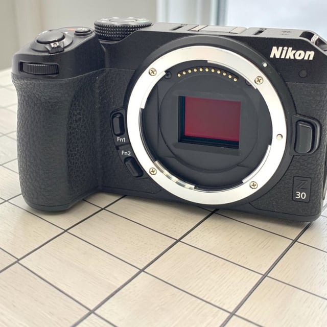 Z30 ボディ