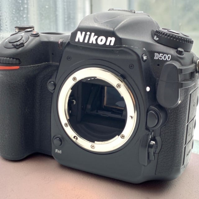D500 ボディ