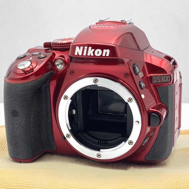 D5300 ボディ