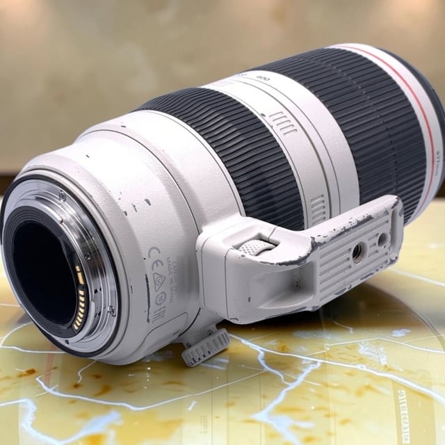 EF 100-400mm F4.5-5.6L IS II USM