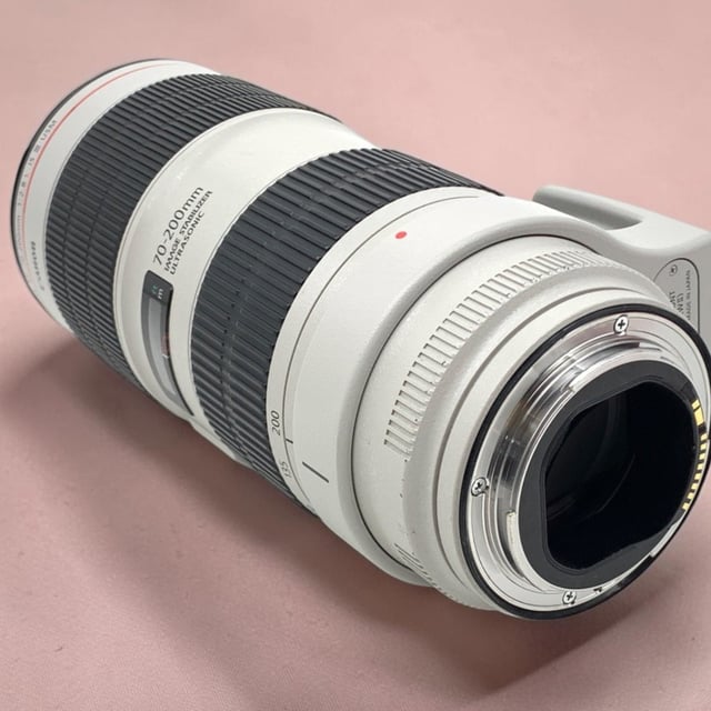 FE 100-400mm F4.5-5.6 GM OSS SEL100400GM