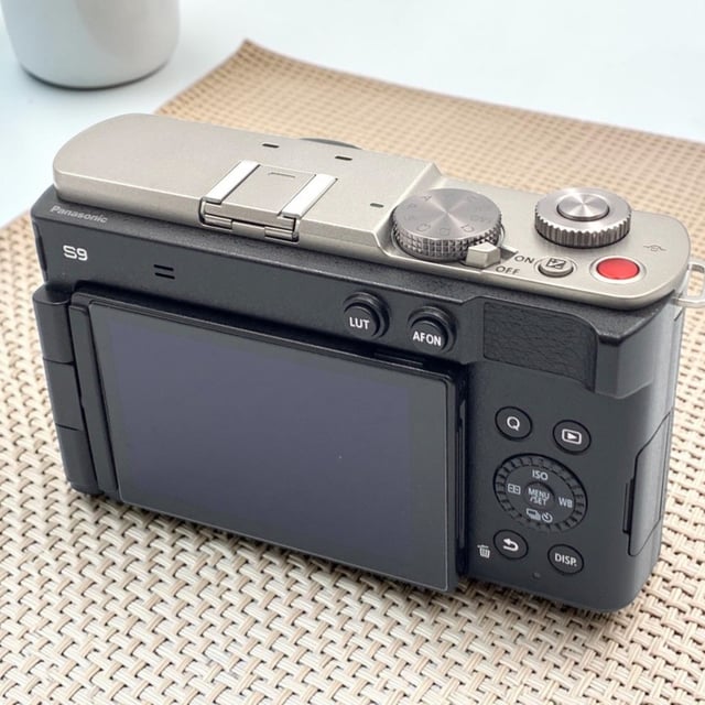 LUMIX S9(DC-S9) ボディ "ダークシルバー"