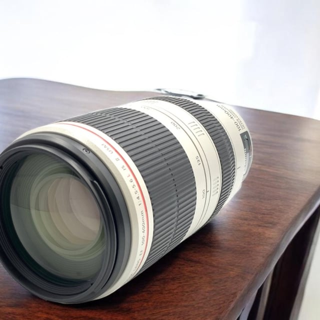 EF 100-400mm F4.5-5.6L IS II USM