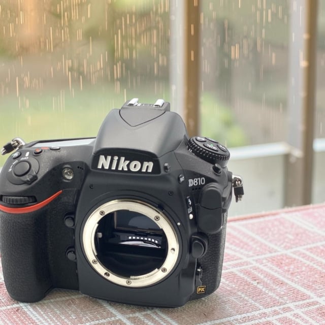 D810 ボディ