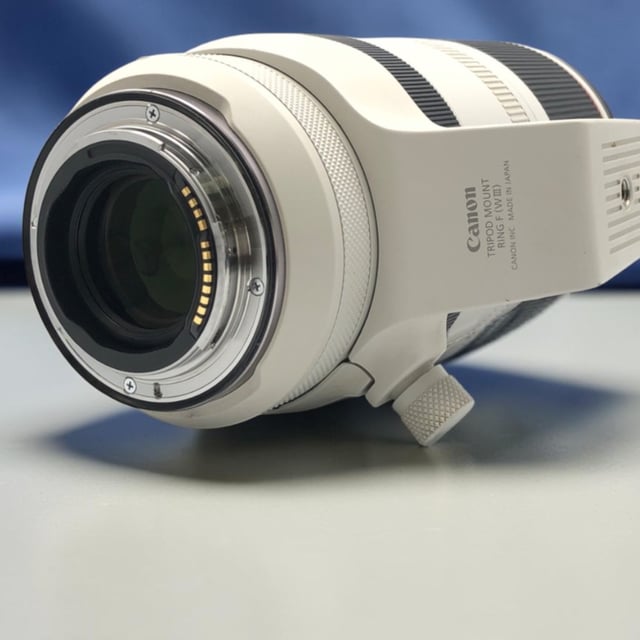 RF 100-500mm F4.5-7.1 L IS USM