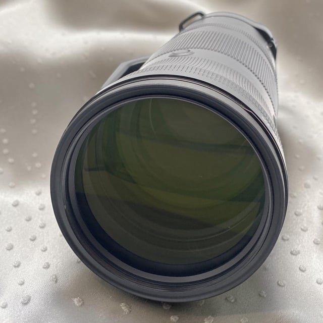 NIKKOR Z 180-600mm f/5.6-6.3 VR